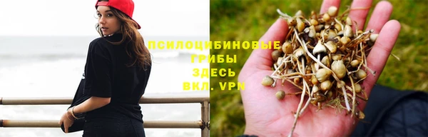 не бодяженный Вяземский