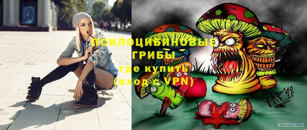 не бодяженный Вяземский