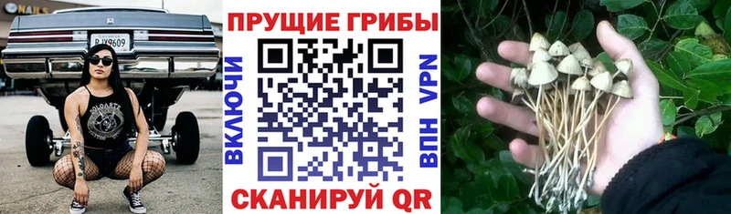 кракен ССЫЛКА  Инза  Галлюциногенные грибы GOLDEN TEACHER  закладка 